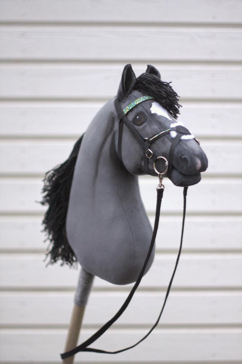 my hobby horses