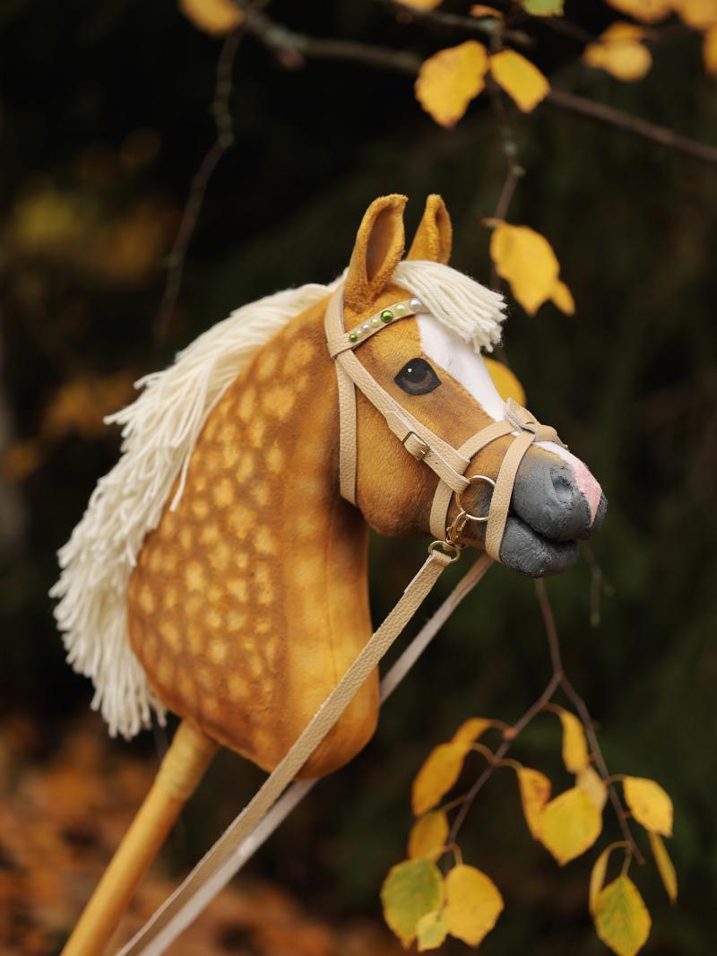 Eponi Hobbyhorse Registry